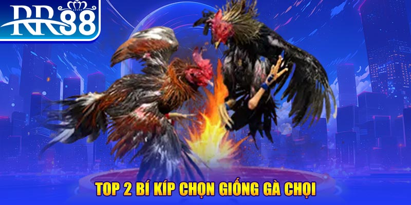 22hello88 đăng nhập poker số 1