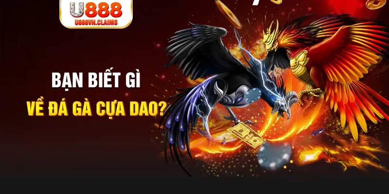 22hello88 xổ số kiến thiết