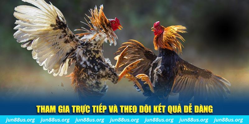 22hello88 đá gà trực tiếp bình luận viên