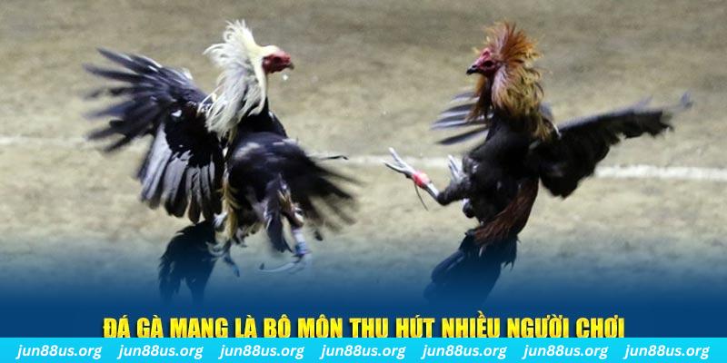 22hello88 xổ số cà mau
