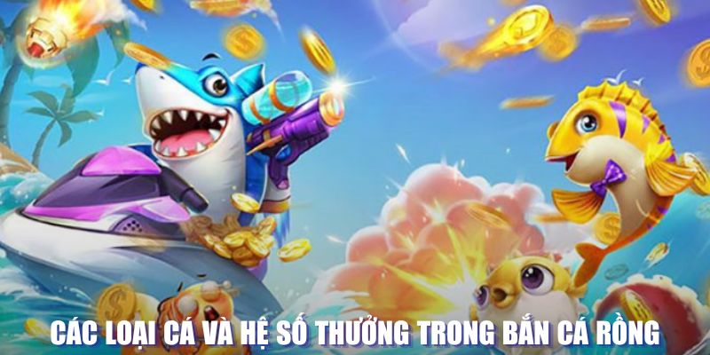 22hello88 loi game dot kich ket noi may chu that bai