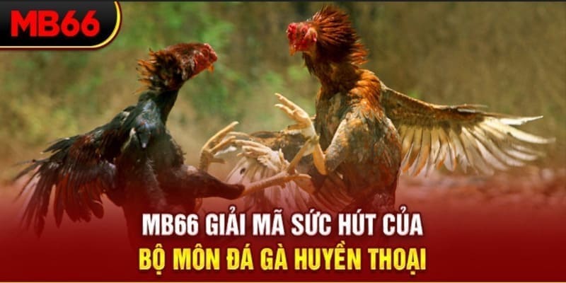 22hello88 Phi Đội Ưu Tú
