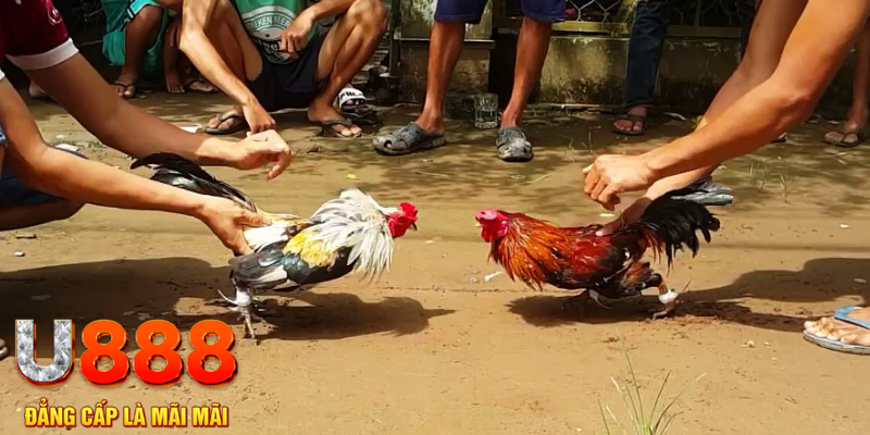 22hello88 đăng nhập mậu binh rút tiền nhanh