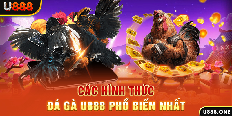 22hello88 DB Trực Tuyến