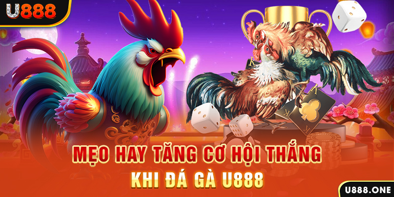 22hello88 trực tiếp gà chọi c1