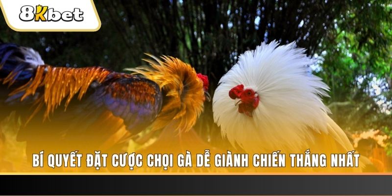 22hello88 Tài Xỉu 2