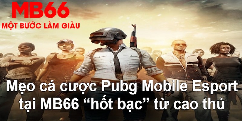 22hello88 gà chọi mộc hóa