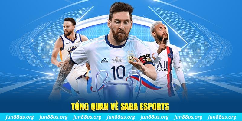 22hello88 gà chọi c1 tv trực tiếp hôm nay